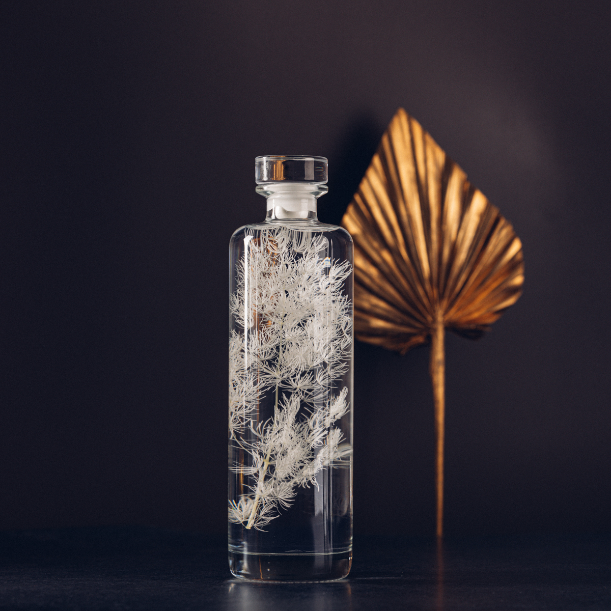 THEOPHILE BERTHON Ming Fern blanc plante immergée capsule