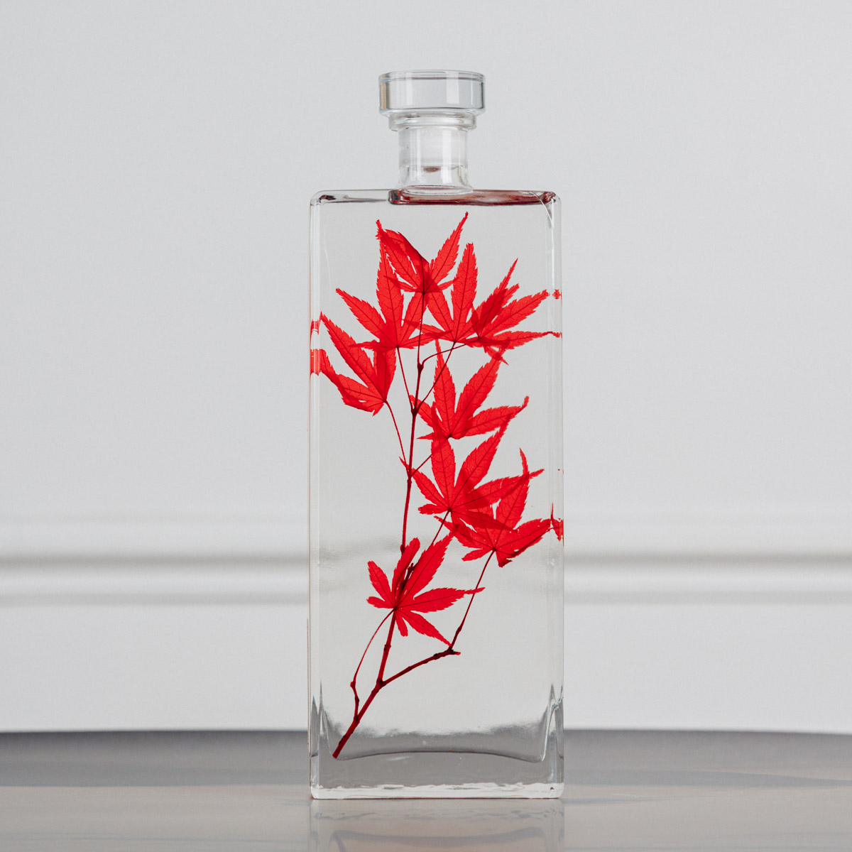 Théophile Berthon Plantes Immergées herbarium érable rouge flacon
