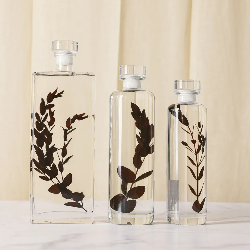 Théophile Berthon Herbarium Eucalyptus parvifolia plante bordeaux