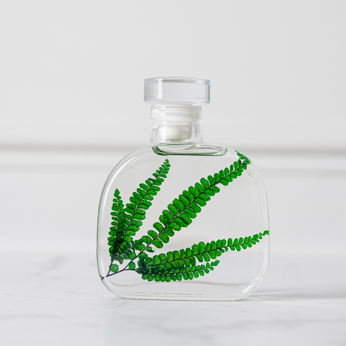 Théophile Berthon Felci Verte plante immergée signature