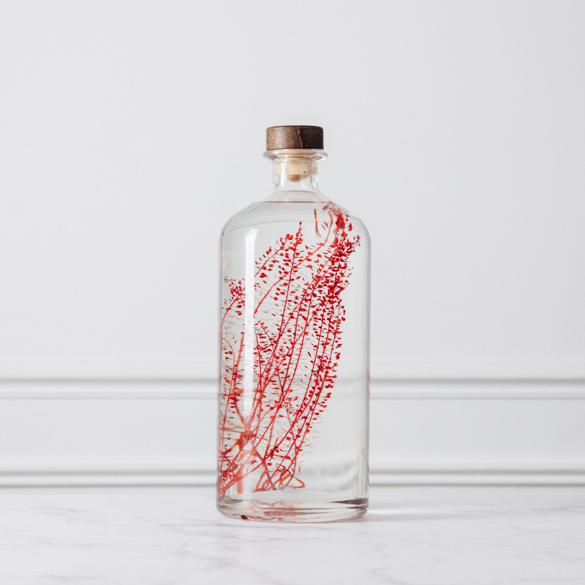 Théophile Berthon Herbarium XL lepidium rouge 3L immergée