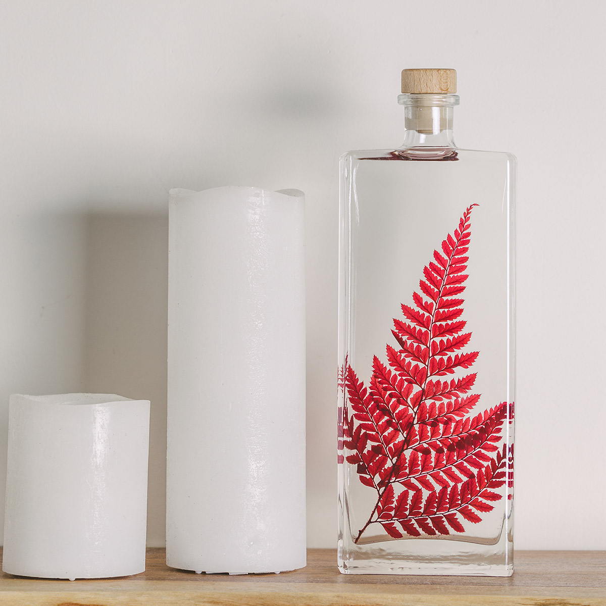 Théophile Berthon Herbarium Rumohra Rouge Plante Immergée