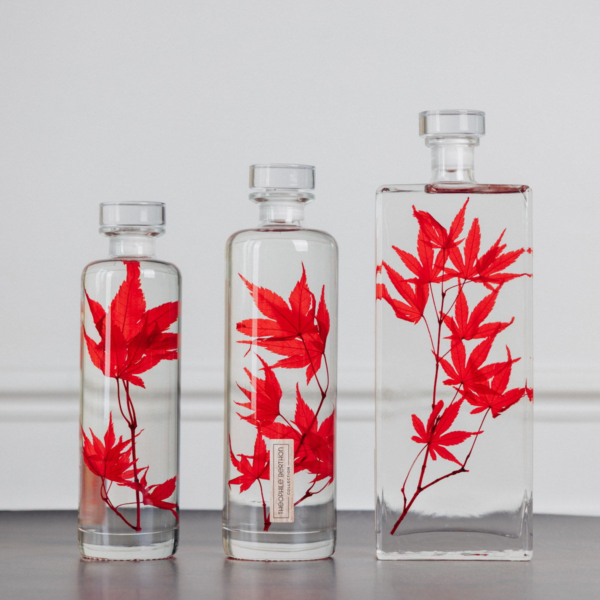 Théophile Berthon Plantes Immergées herbarium érable rouge flacon