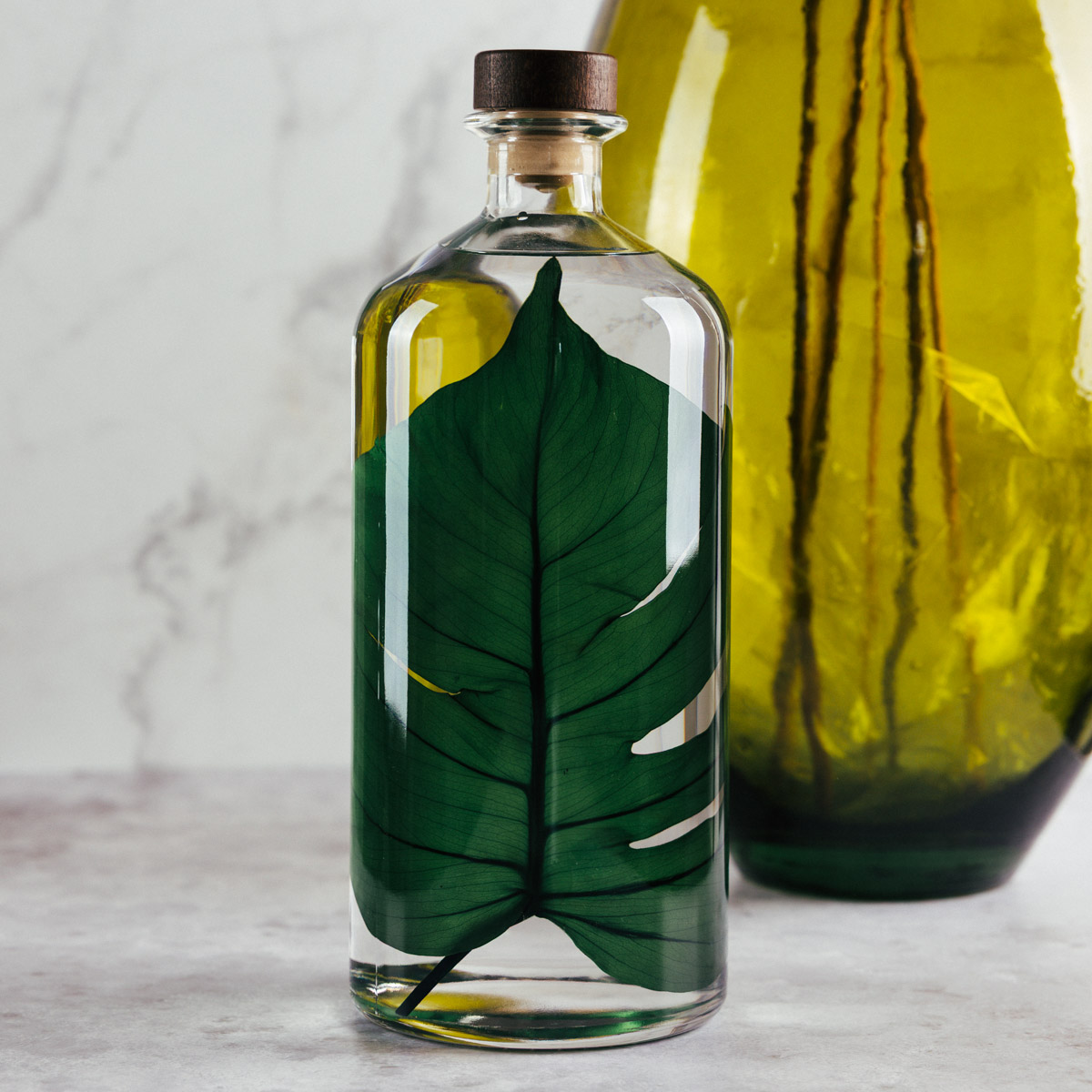 Théophile Berthon Herbarium XL Monstera 3 litres plante immergée