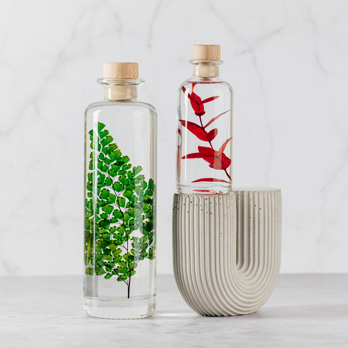 Théophile Berthon Plantes Immergées diptyque Parvifolia+Luthi plante
