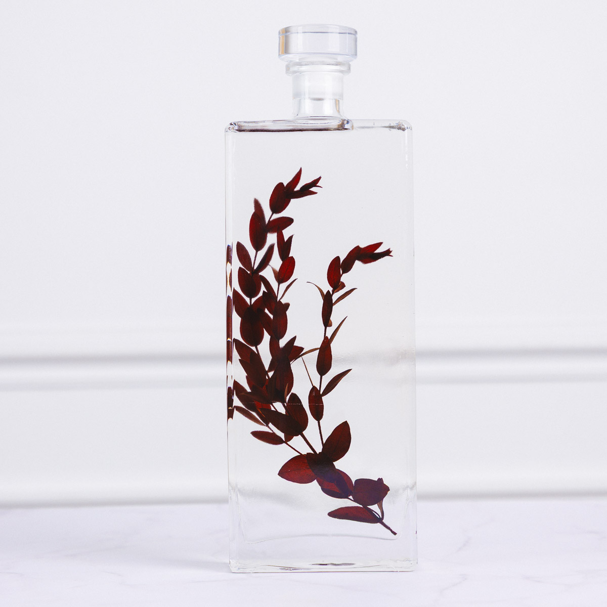 Théophile Berthon Herbarium Eucalyptus parvifolia plante bordeaux