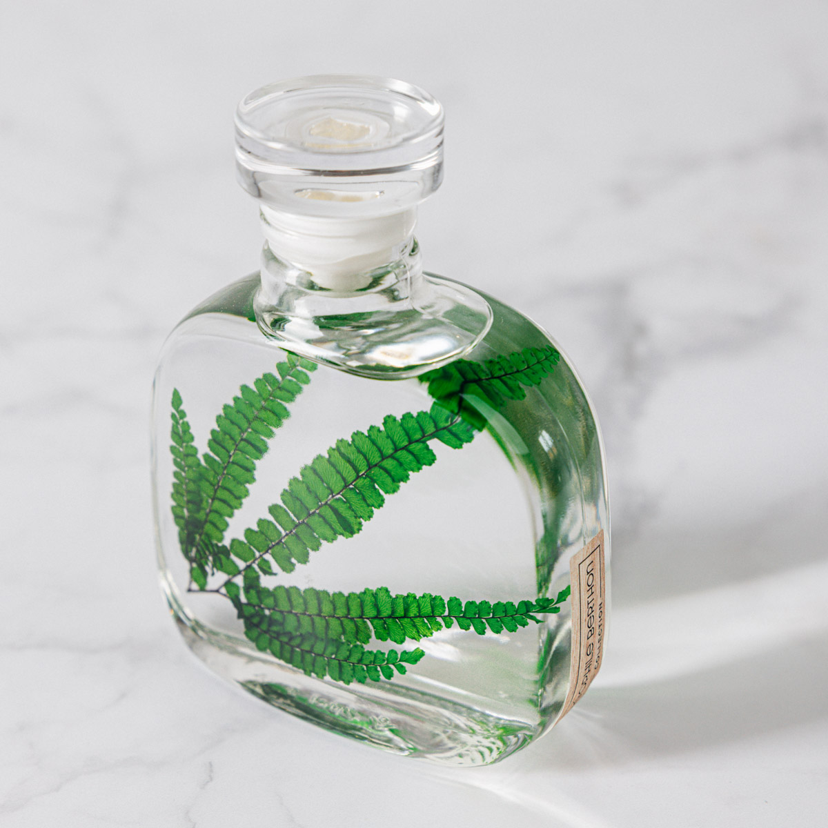 Théophile Berthon Felci Verte plante immergée signature