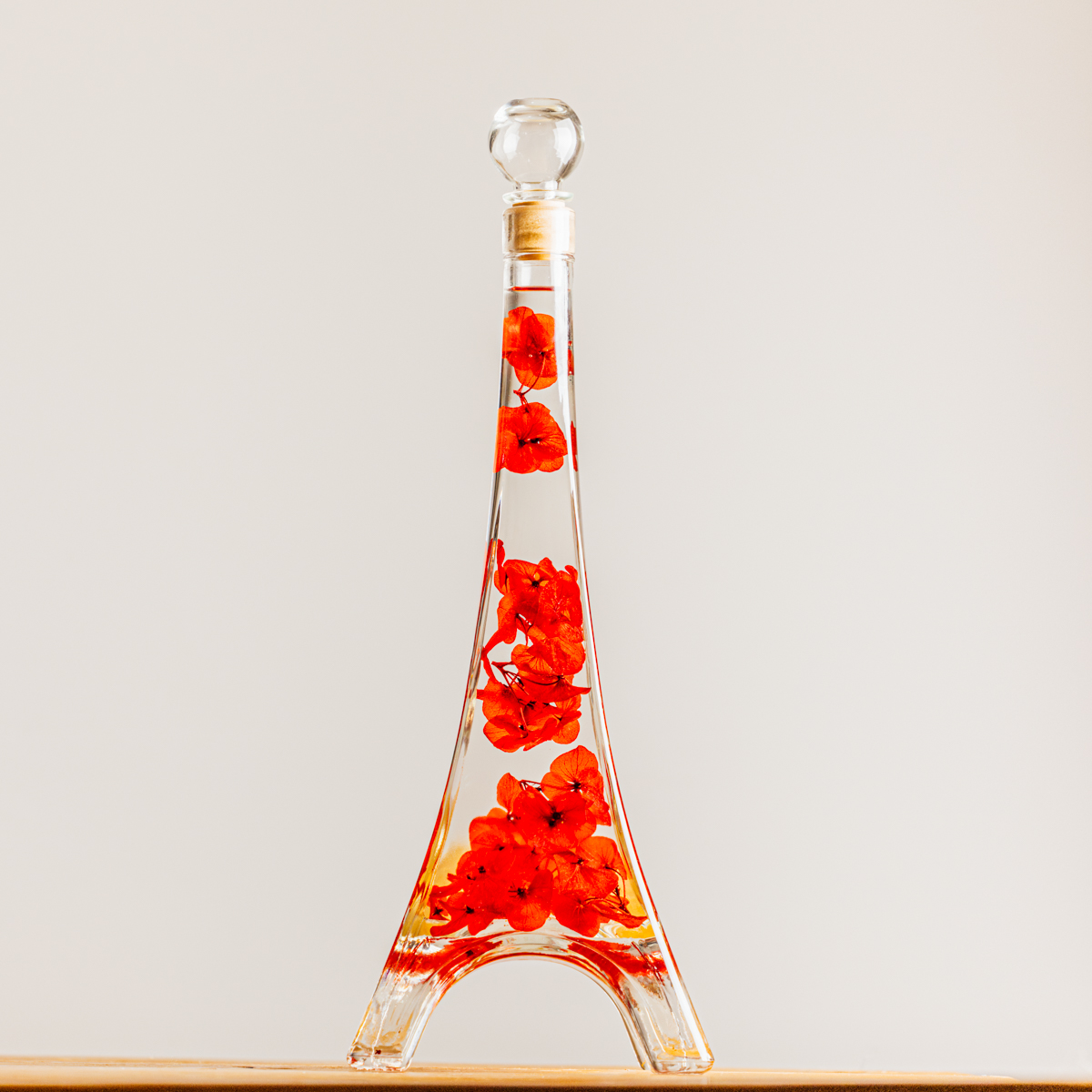 Theophile Berthon Plantes Immergées Herbarium Tour Eiffel plante Rouge