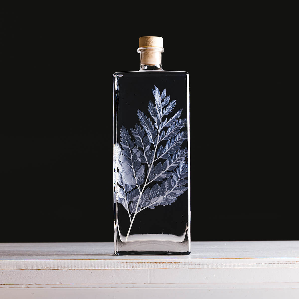 Théophile Berthon Herbarium Fougère Cuir Blanche Plante Immergée
