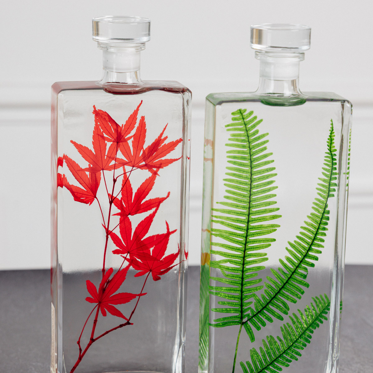 THEOPHILE BERTHON Plantes Immergées H26 capsule érable fougère