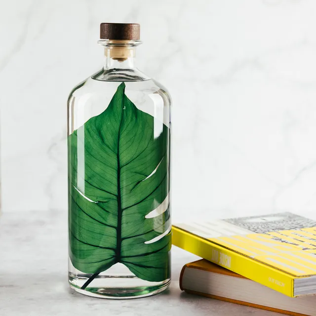 Théophile Berthon Herbarium XL Monstera 3 litres plante immergée