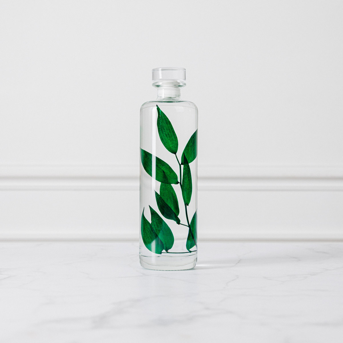 THEOPHILE BERTHON Herbarium Capsule Ruscus vert plante