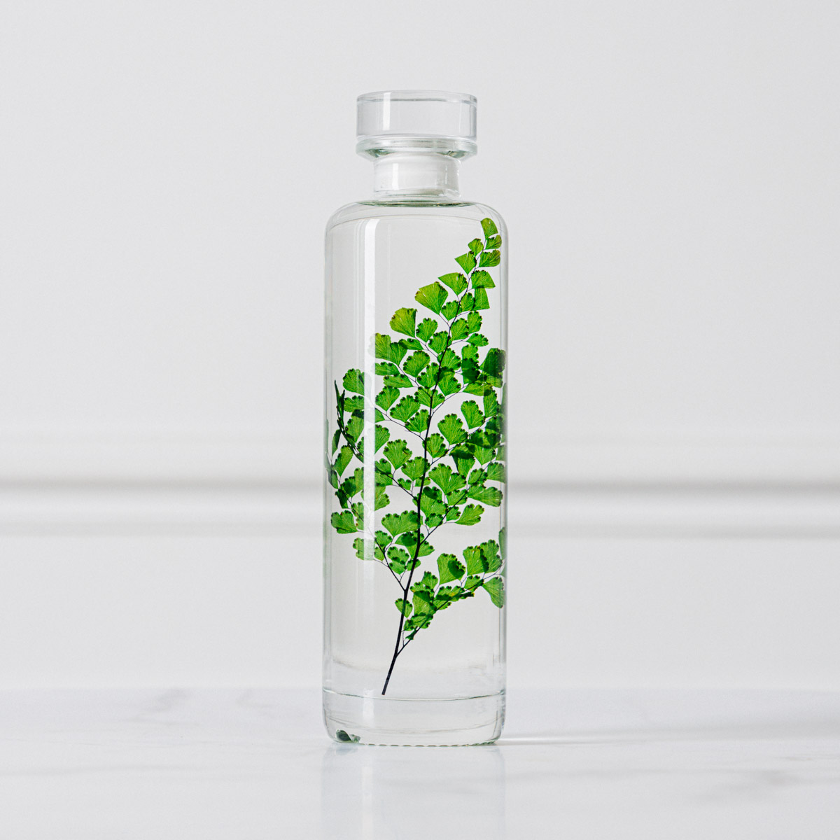 Théophile Herbarium Luthi Verte capsule plante immergée déco