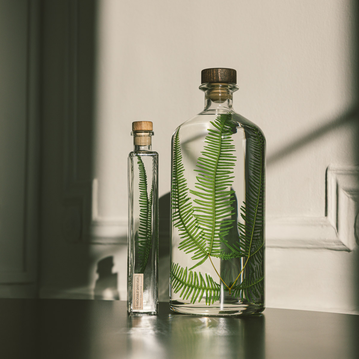 Théophile Berthon Herbarium plante immergée fougère montagnes