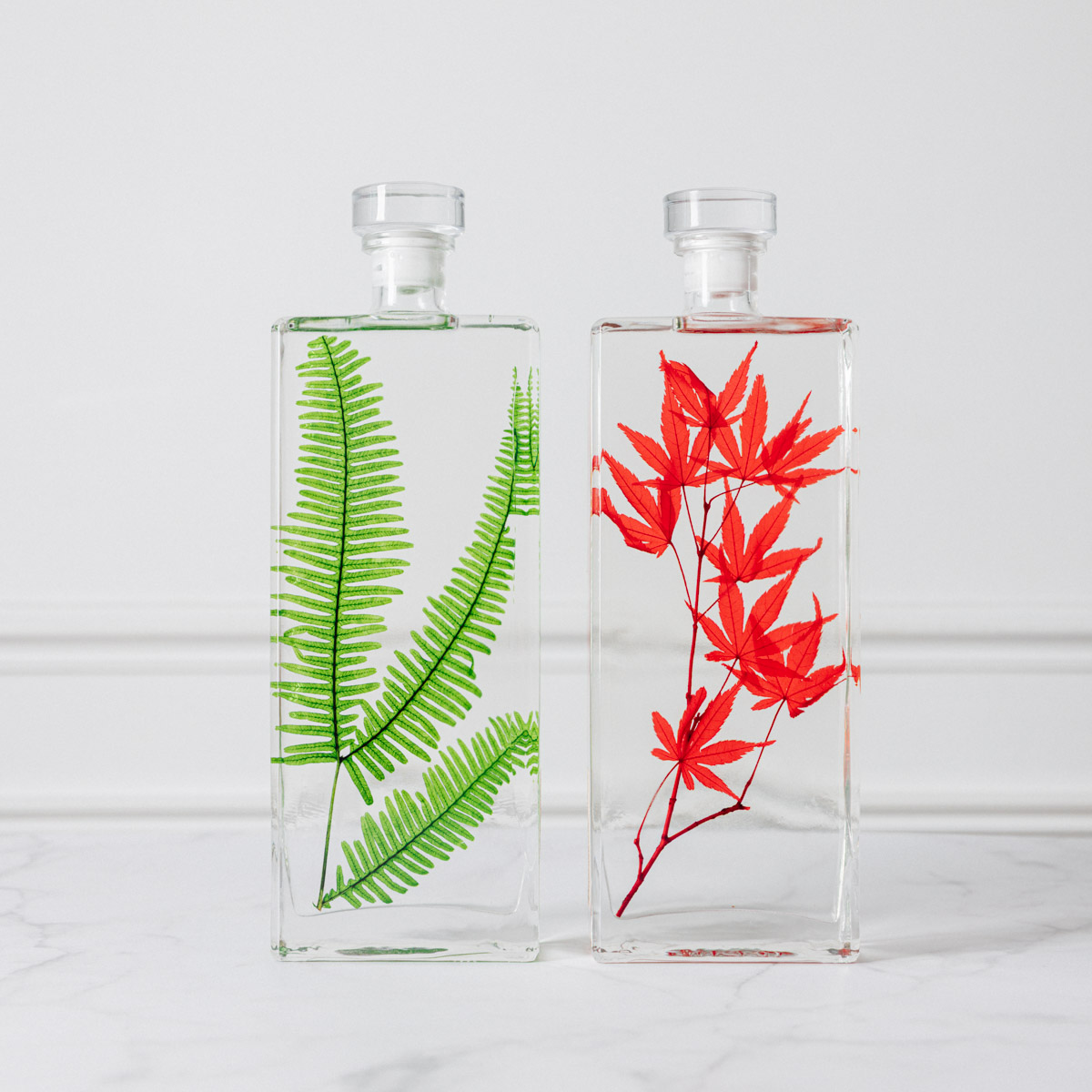 THEOPHILE BERTHON Plantes Immergées H26 capsule érable fougère