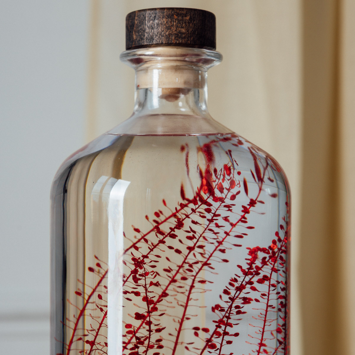 Théophile Berthon Herbarium XL lepidium rouge 3L immergée