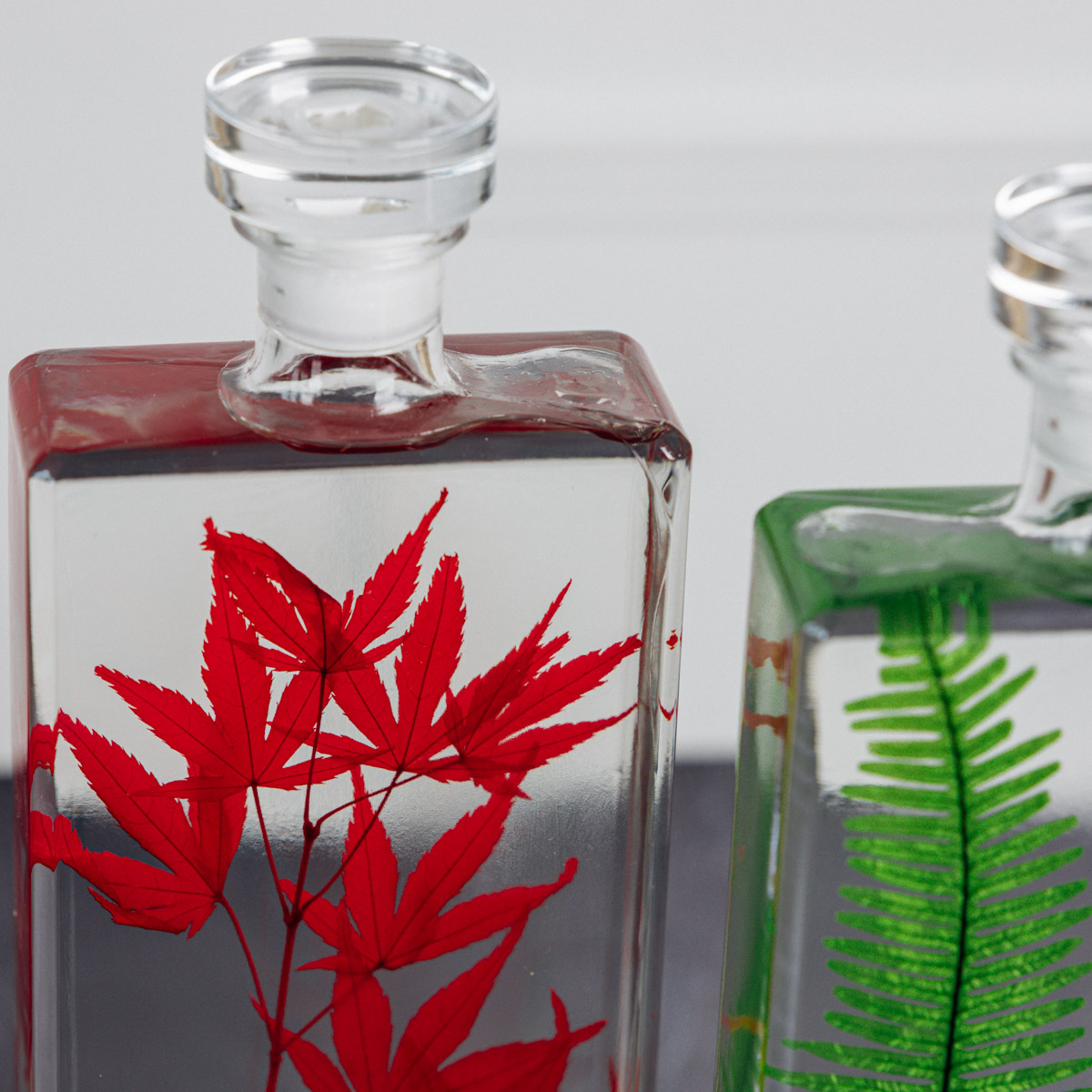 THEOPHILE BERTHON Plantes Immergées H26 capsule érable fougère