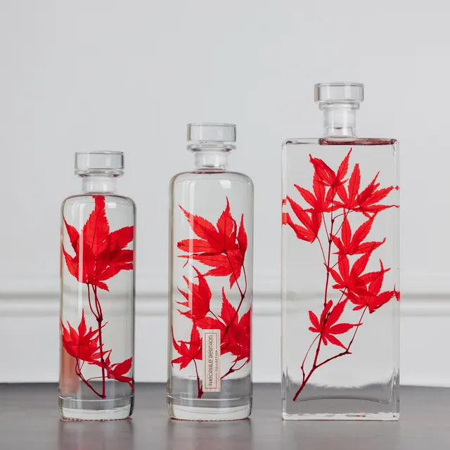 Théophile Berthon Plantes Immergées herbarium érable rouge flacon
