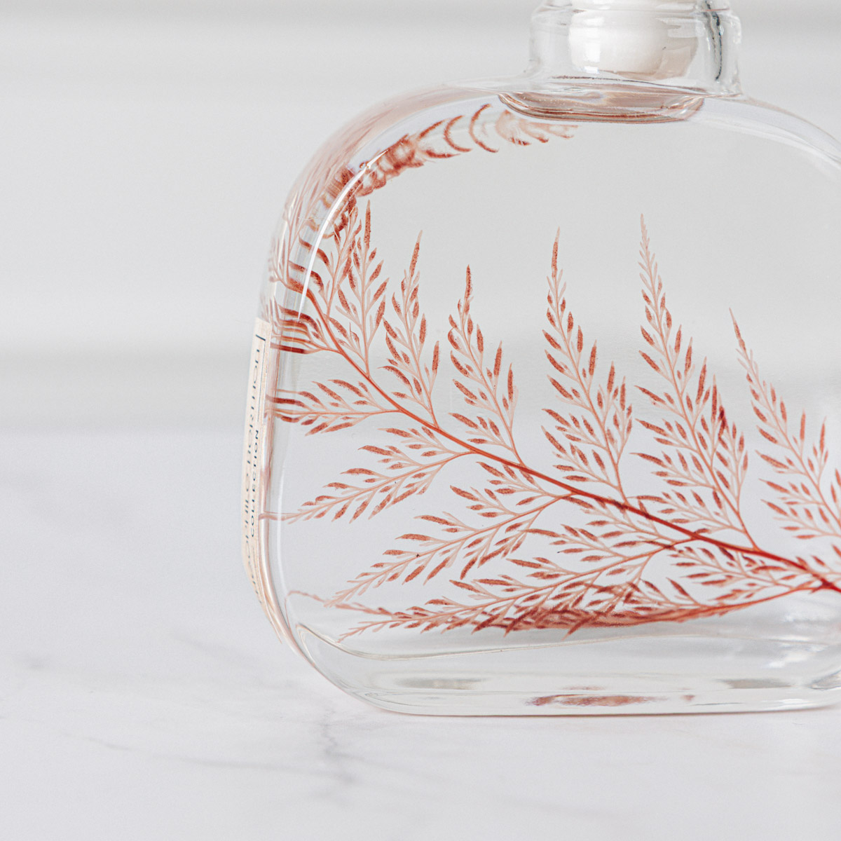 Théophile Berthon Plantes Immergées Capsule Signature Flocon Blush herbier