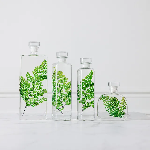 Théophile Herbarium Luthi Verte capsule plante immergée déco