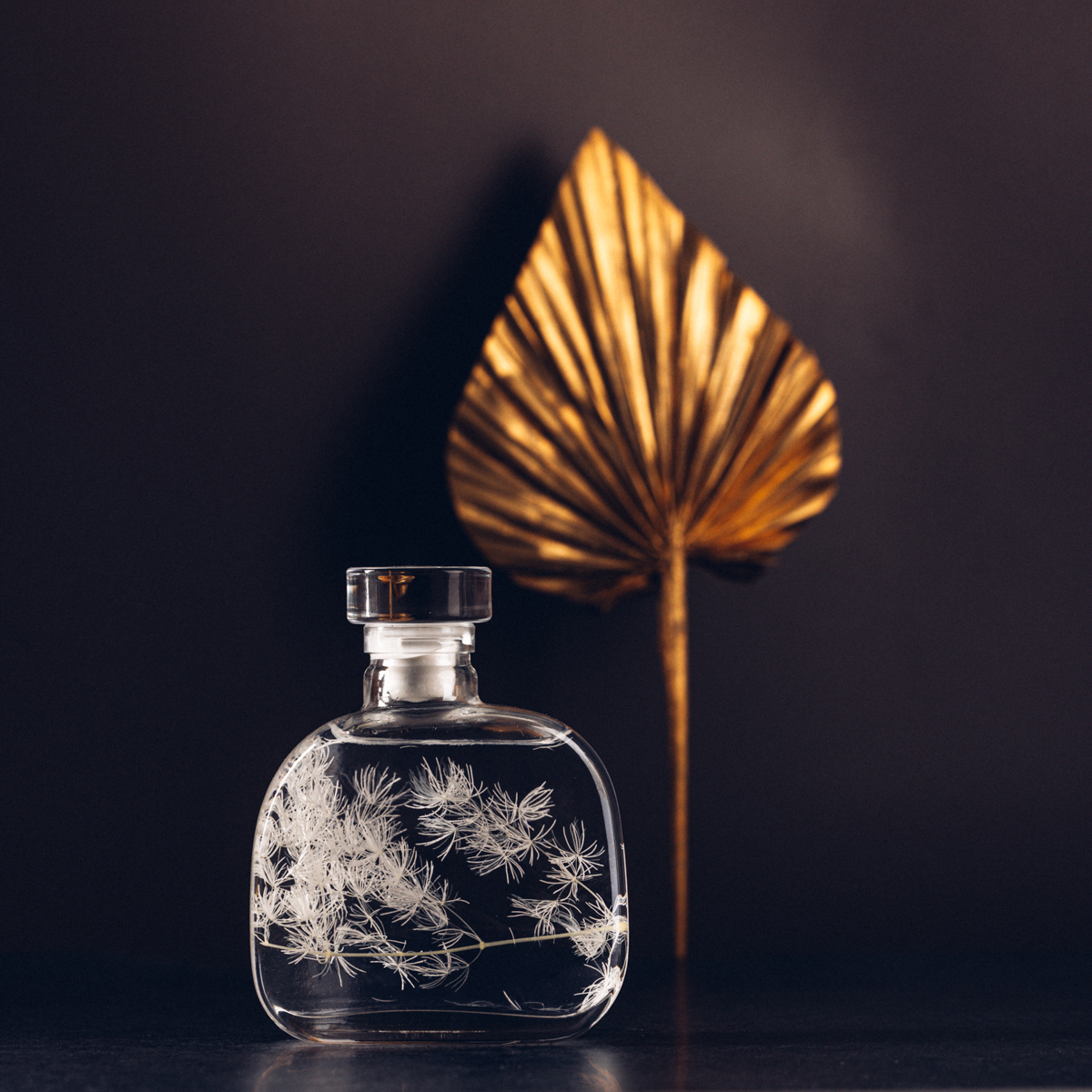 THEOPHILE BERTHON Ming Fern blanc plante immergée capsule