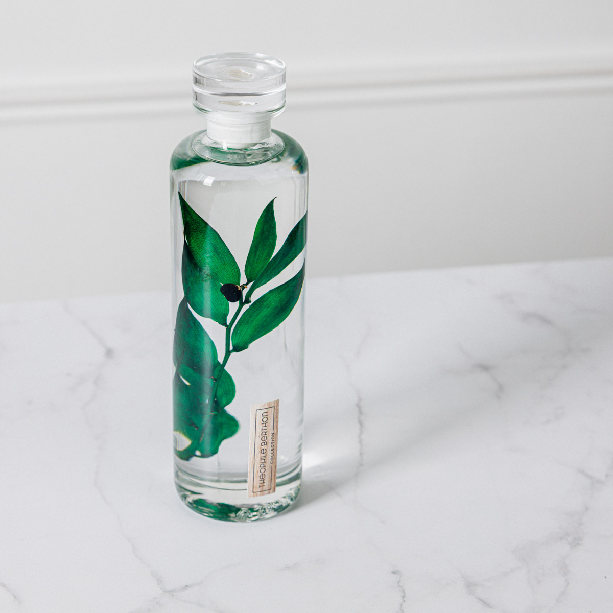 THEOPHILE BERTHON Herbarium Capsule Ruscus vert plante