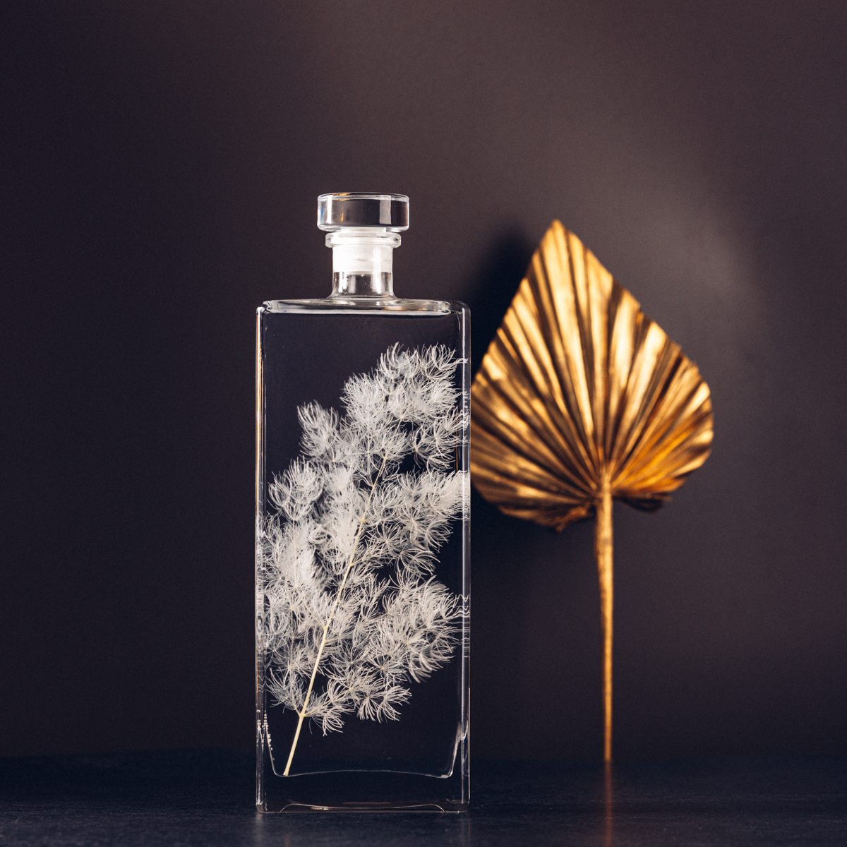 THEOPHILE BERTHON Ming Fern blanc plante immergée capsule