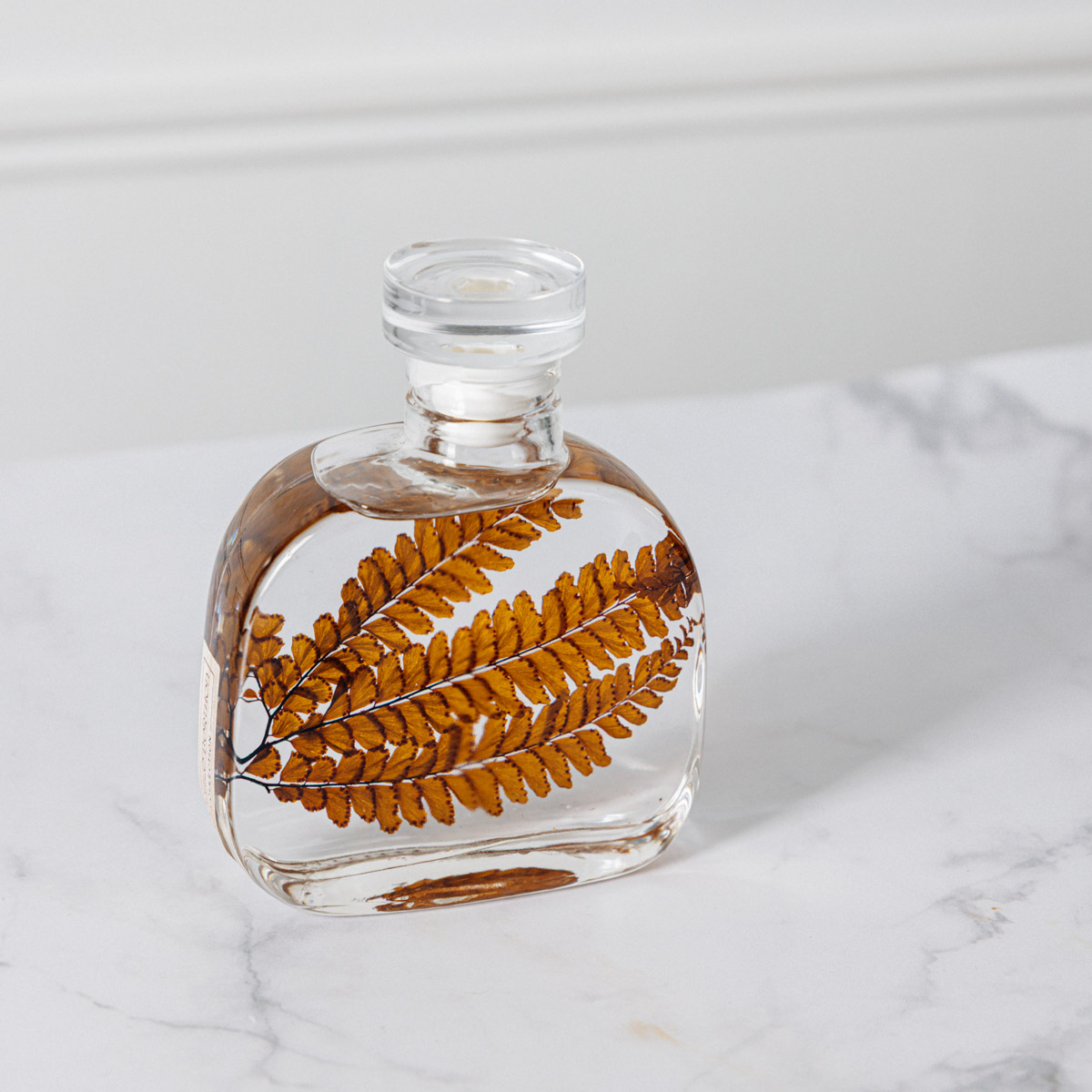 THEOPHILE BERTHON Herbarium Signature Felci Ambre plante