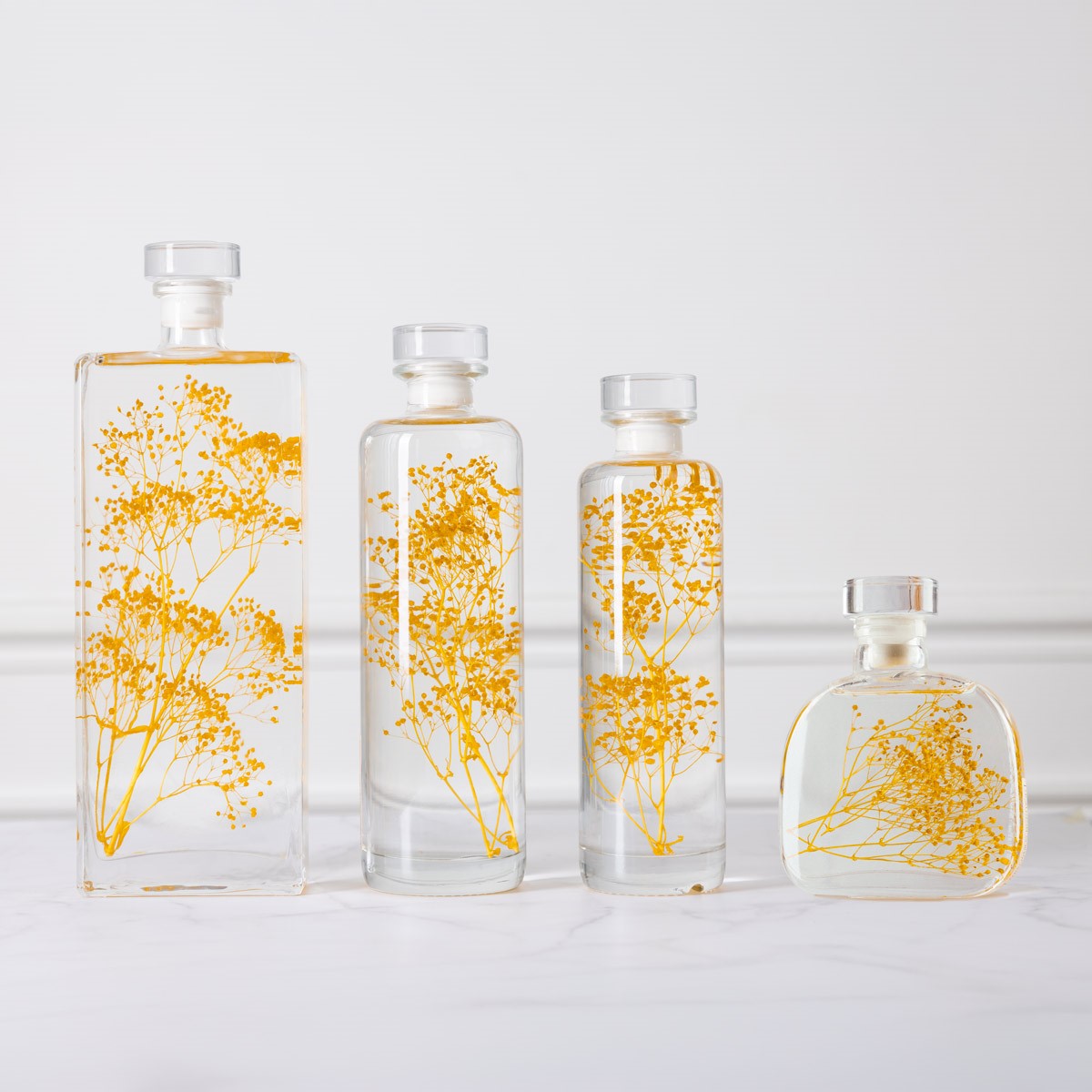 THEOPHILE BERTHON Herbarium Gypsophile Safran plante immergée safran