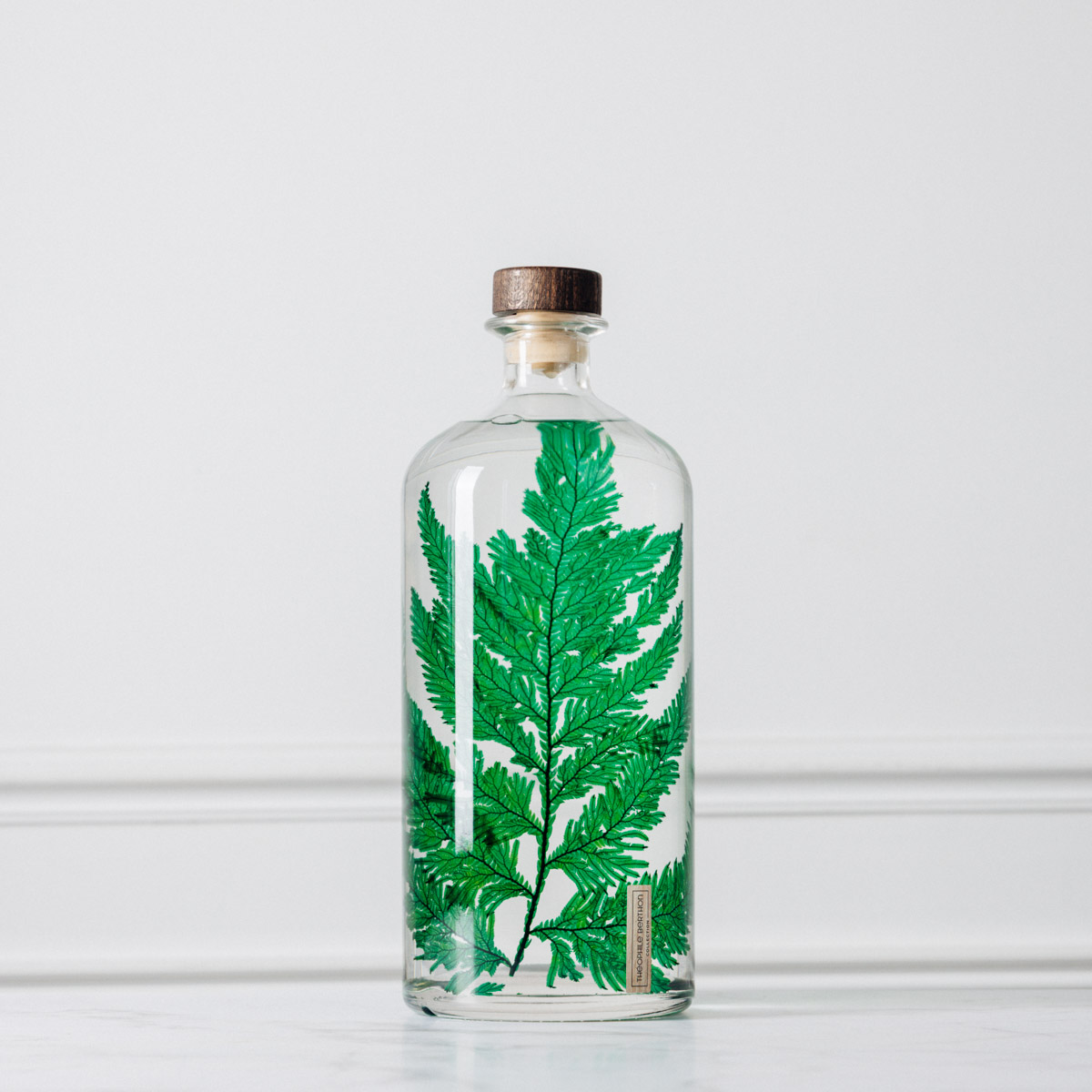 Théophile Berthon Herbarium XL plante immergée fougère 3L
