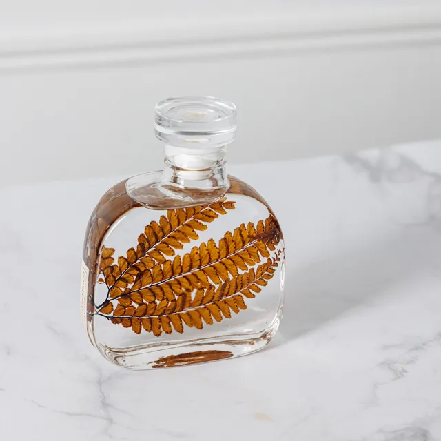 THEOPHILE BERTHON Herbarium Signature Felci Ambre plante
