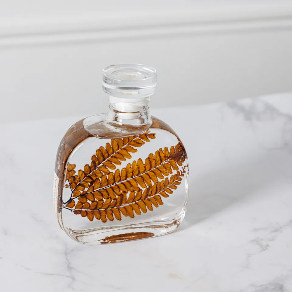 THEOPHILE BERTHON Herbarium Signature Felci Ambre plante