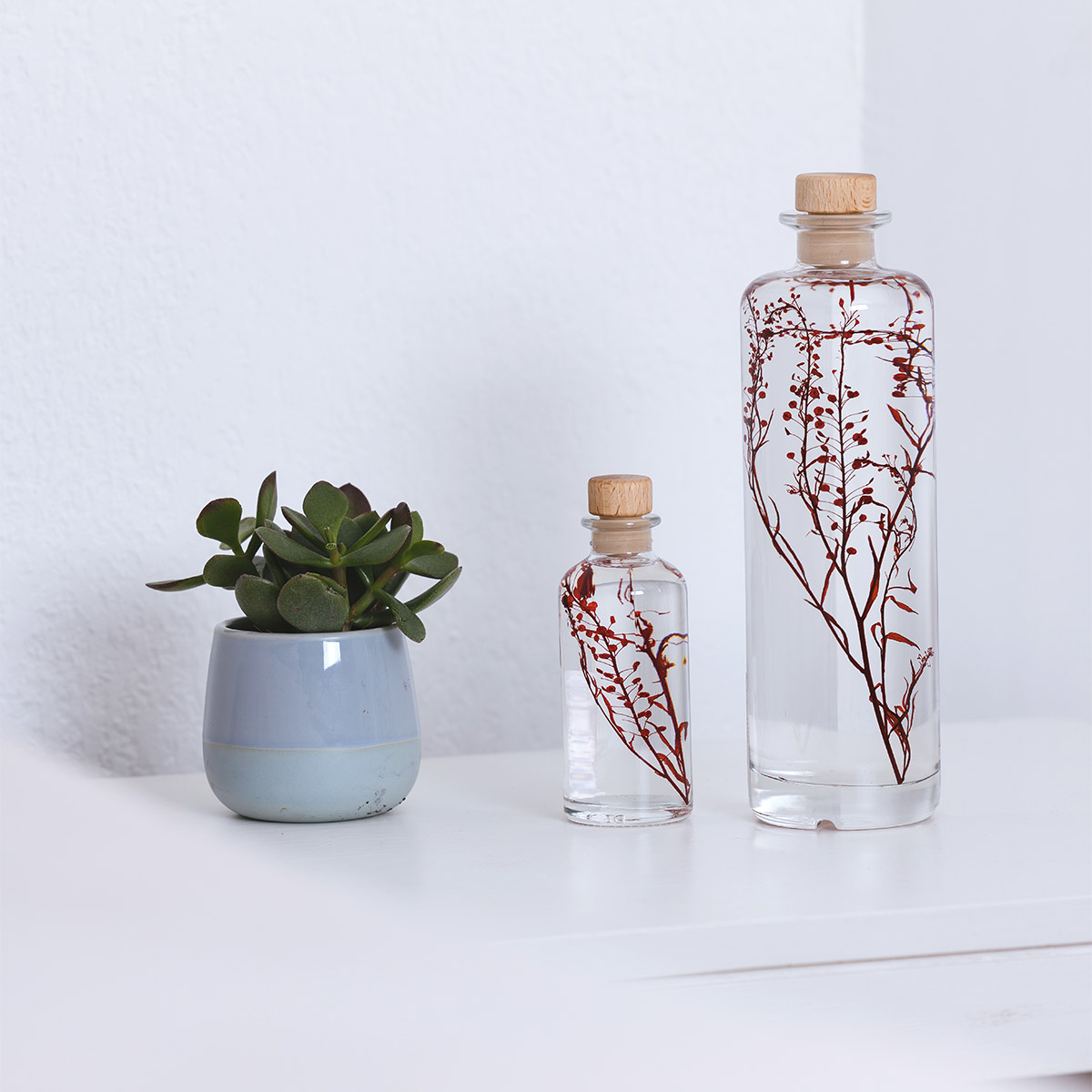 Théophile Berthon Herbarium Lepidium rouge plante immergée déco