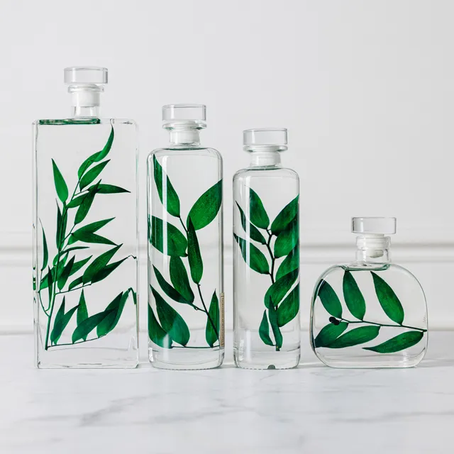 THEOPHILE BERTHON Herbarium Capsule Ruscus vert plante