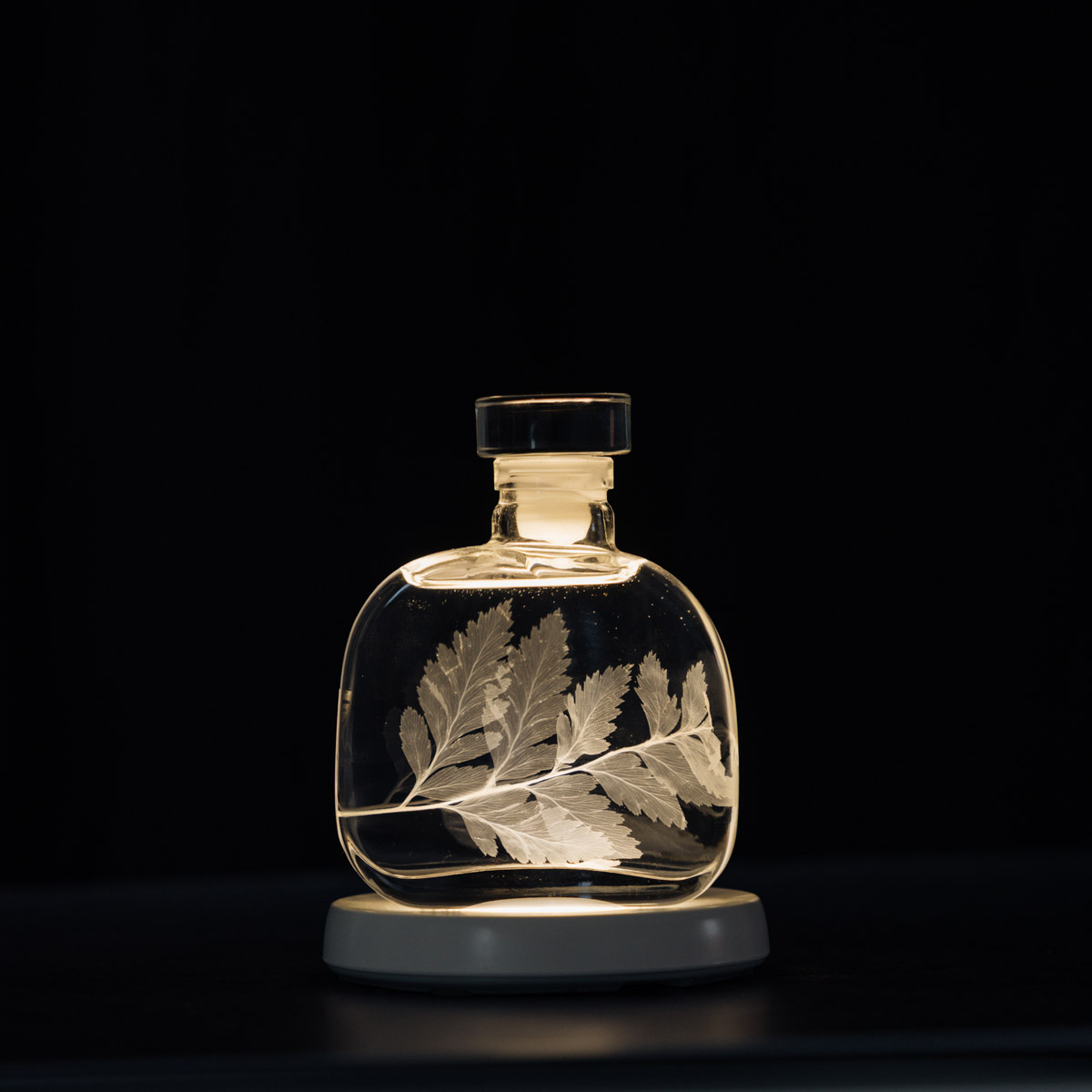 THEOPHILE BERTHON Herbarium Fougère plante immergée blanche signature