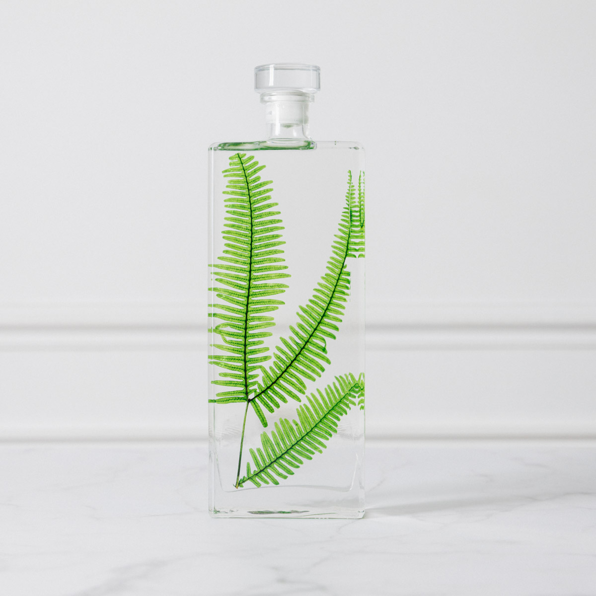 THEOPHILE BERTHON Herbarium Fougère des montagnes plante immergée