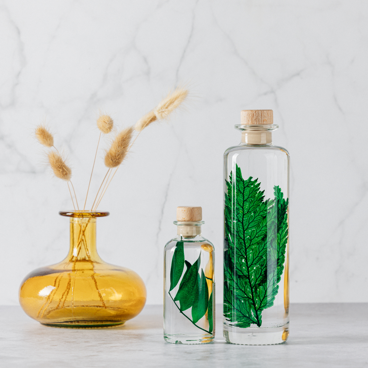 Théophile Berthon Diptyque Herbarium Ruscus + Colombienne plante