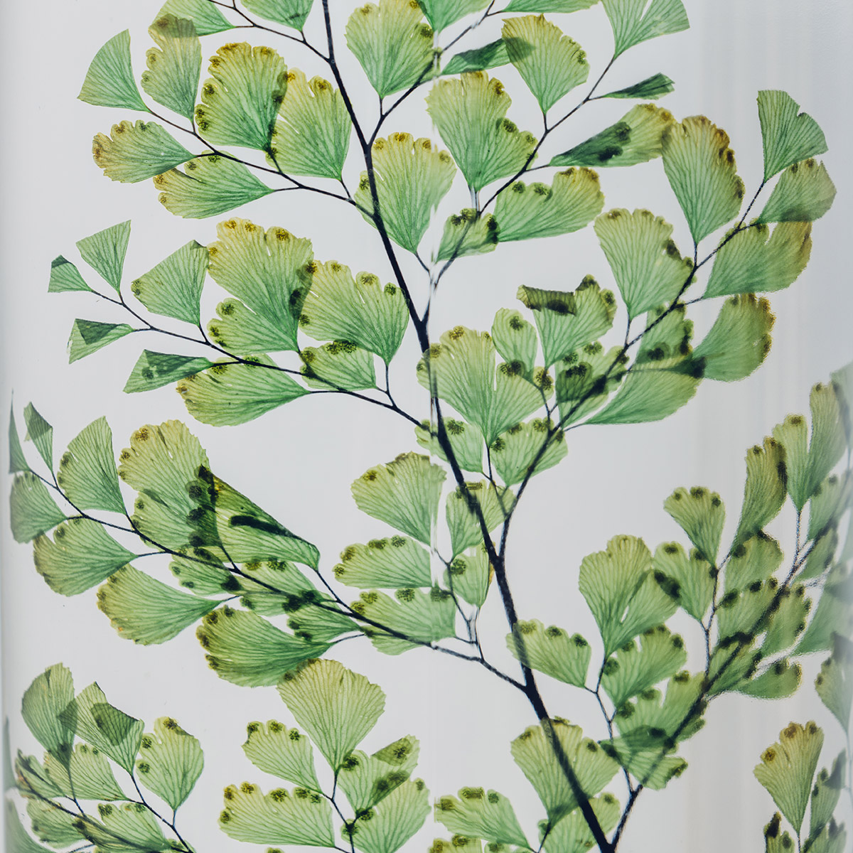 Théophile Berthon Plantes Immergées triptyque H10 3 flacons déco