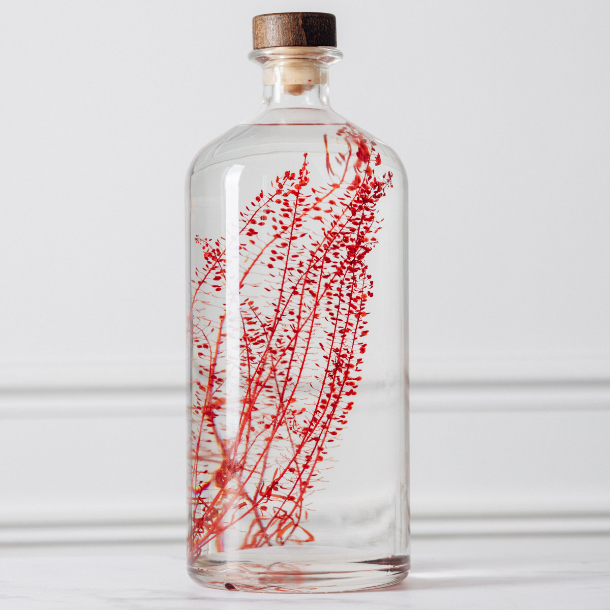 Théophile Berthon Herbarium XL lepidium rouge 3L immergée