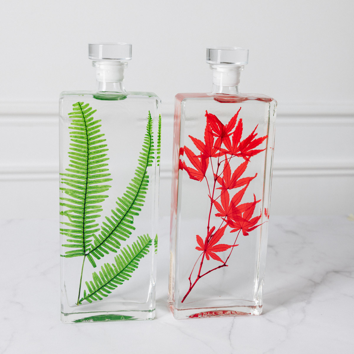 THEOPHILE BERTHON Plantes Immergées H26 capsule érable fougère