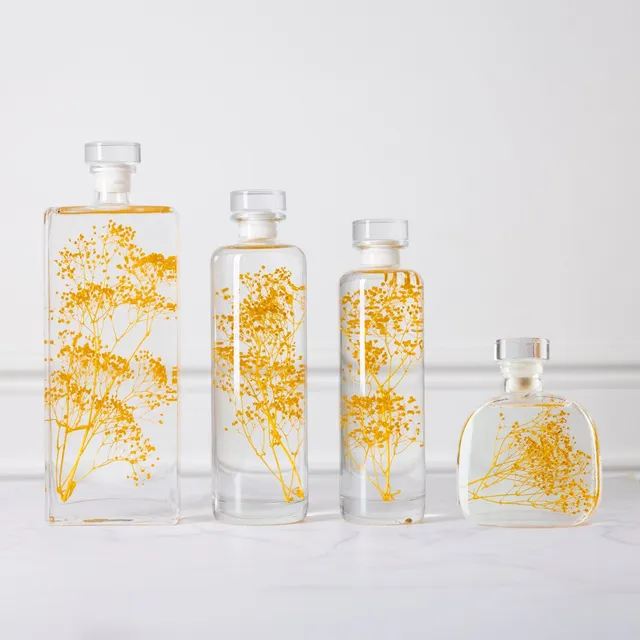 THEOPHILE BERTHON Herbarium Gypsophile Safran plante immergée safran
