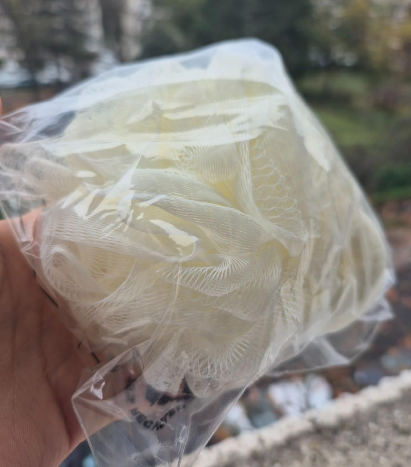 Isabelle Laurier Ladies Fleur de douche éponge blanche bain corps