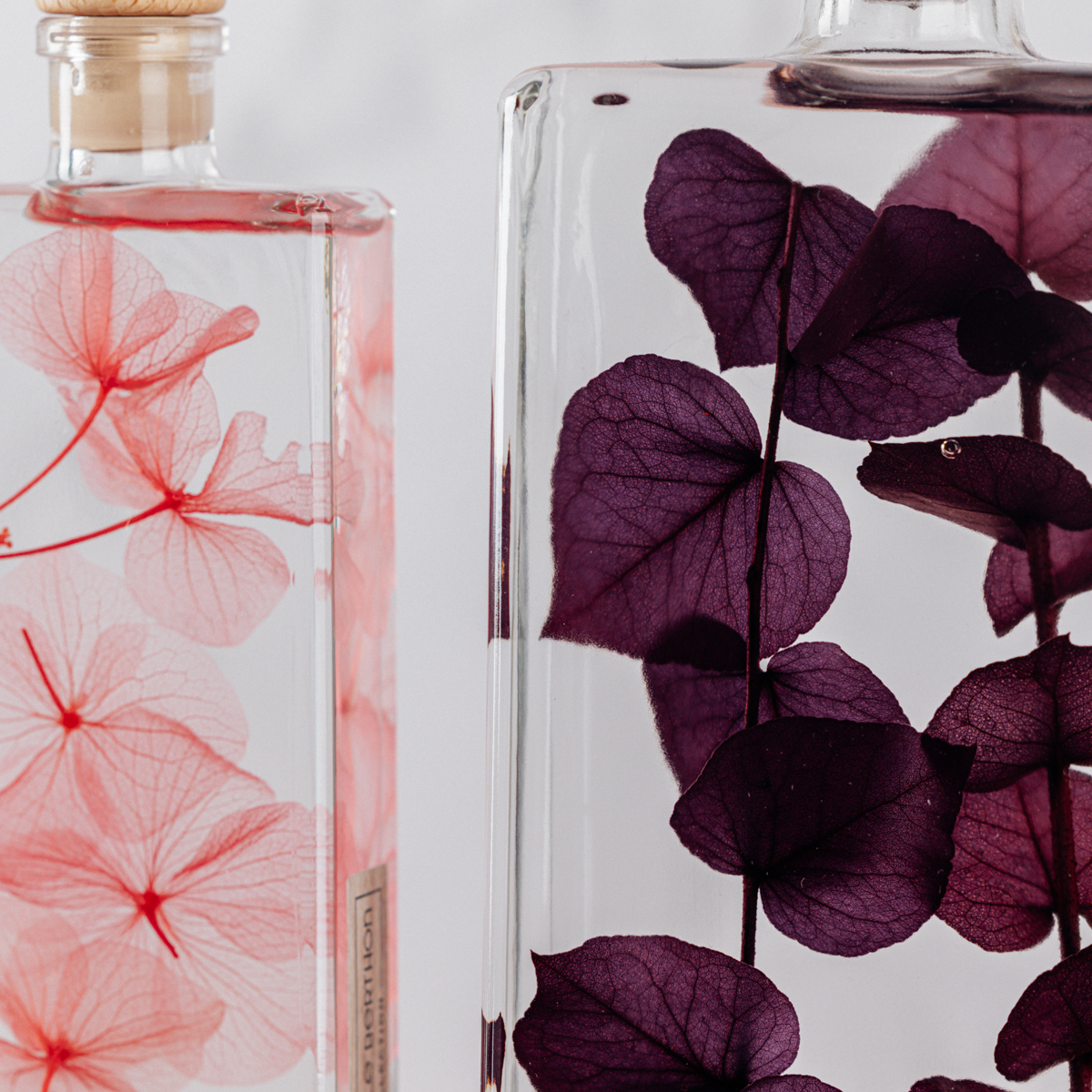 Théophile Berthon Herbarium Diptyque Hortensia Eucalyptus Duo