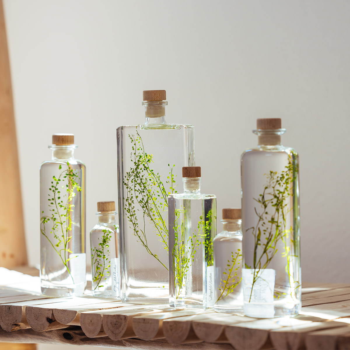 Théophile Herbarium Lepidium Vert plante immergée déco