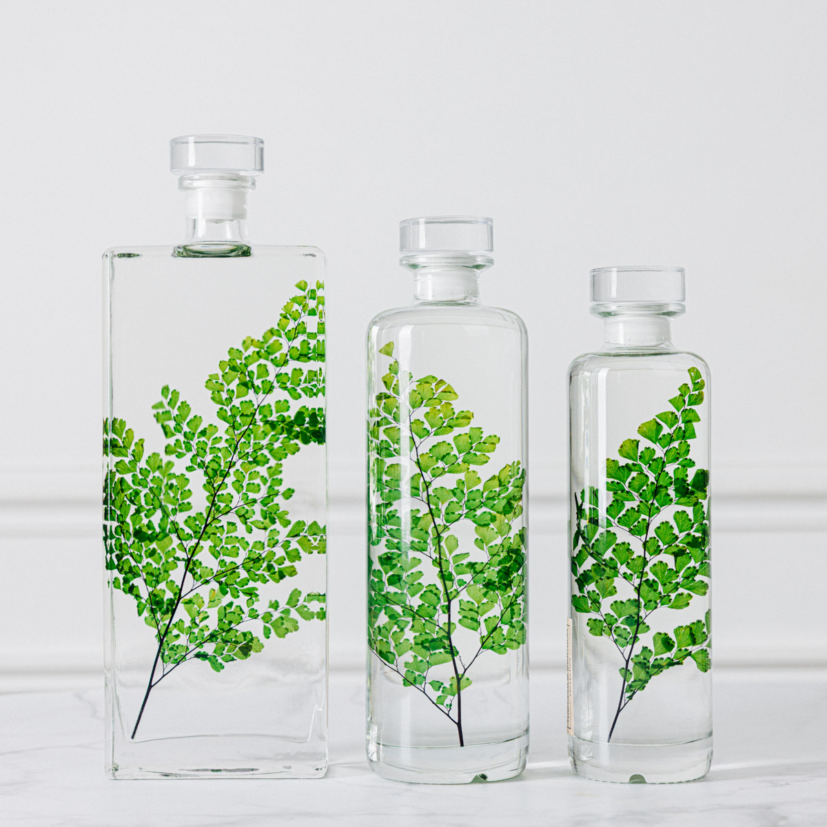 Théophile Herbarium Luthi Verte capsule plante immergée déco