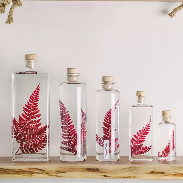Théophile Berthon Herbarium Rumohra Rouge Plante Immergée