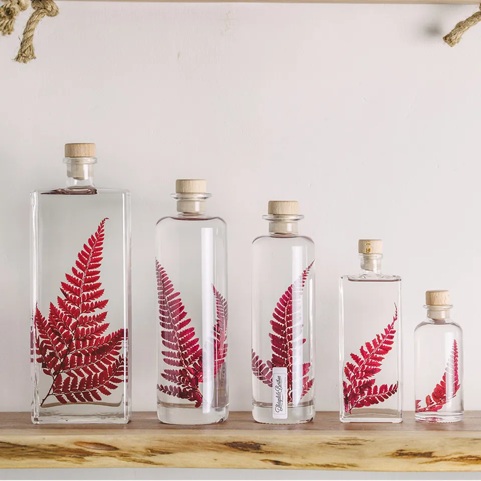 Théophile Berthon Herbarium Rumohra Rouge Plante Immergée