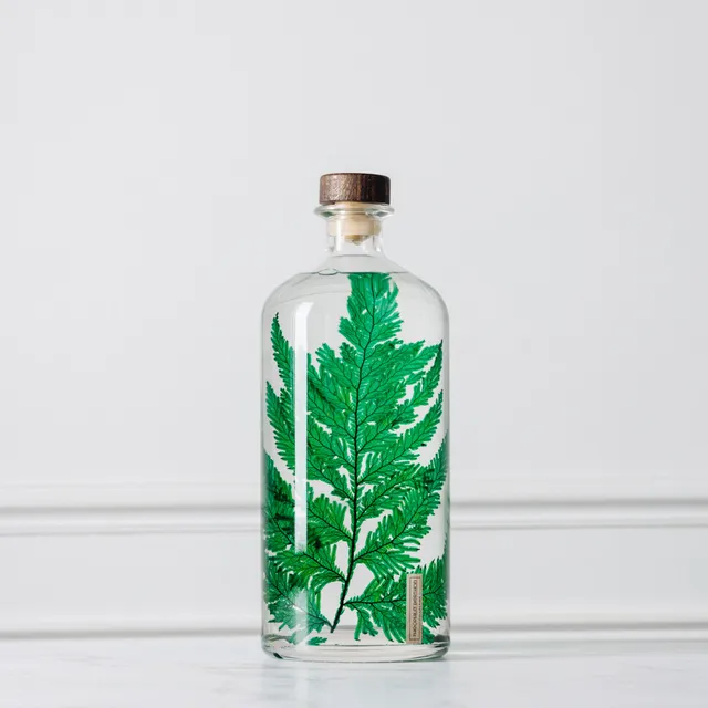 Théophile Berthon Herbarium XL plante immergée fougère 3L