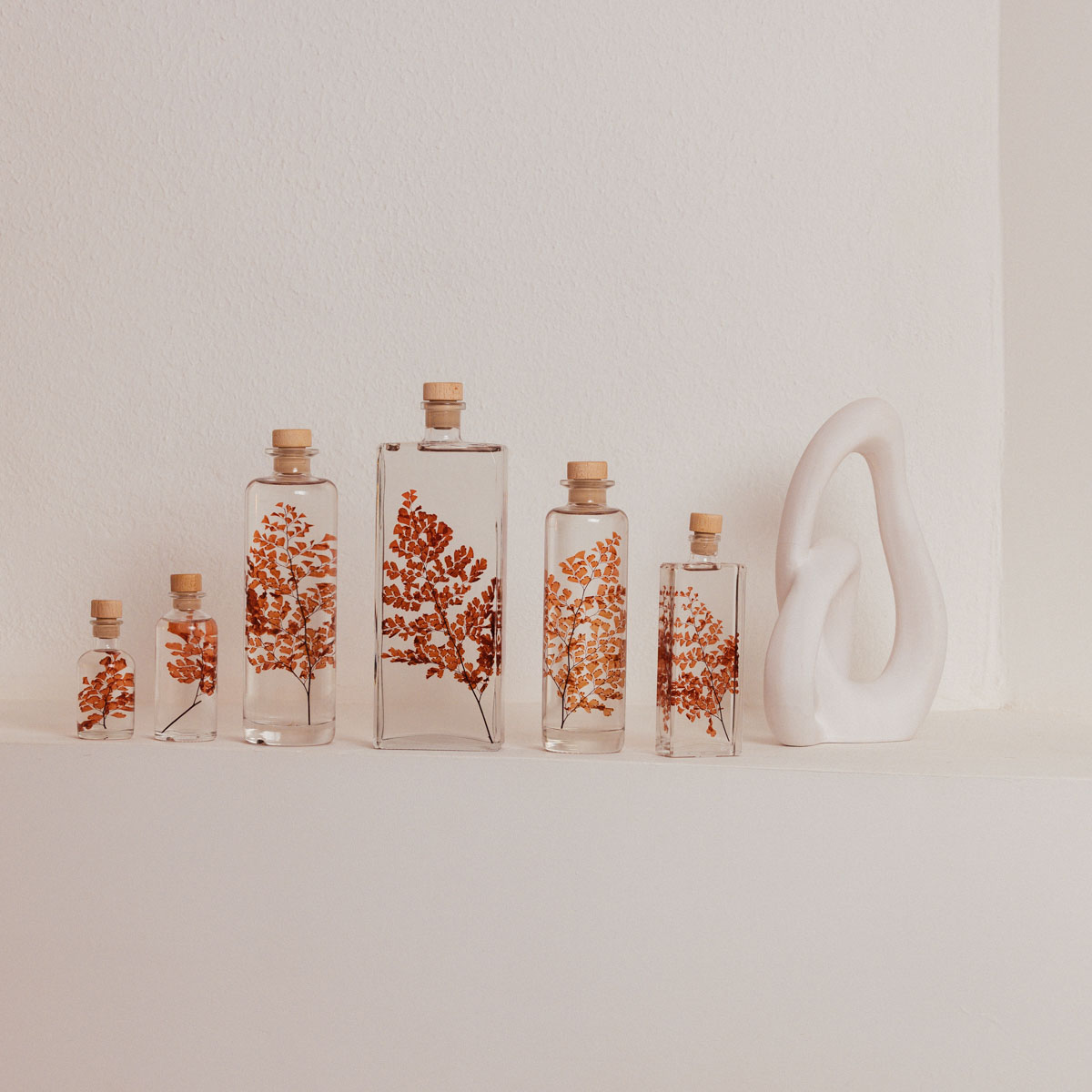 Theophile Berthon Plantes Immergées Herbarium Fougère Luthi plante terracotta