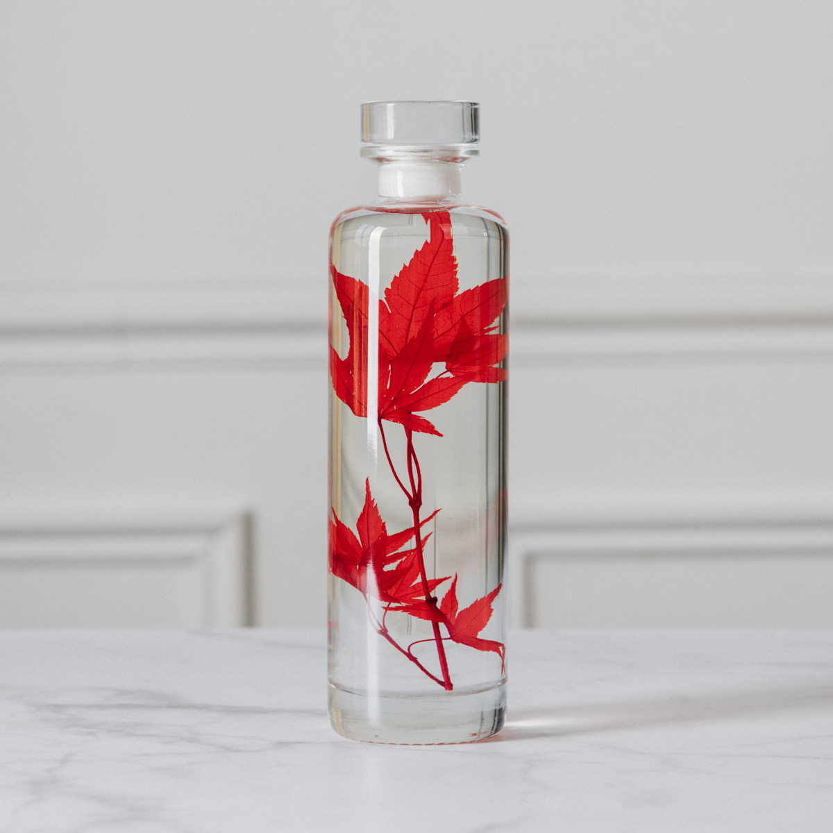 Théophile Berthon Plantes Immergées herbarium érable rouge flacon